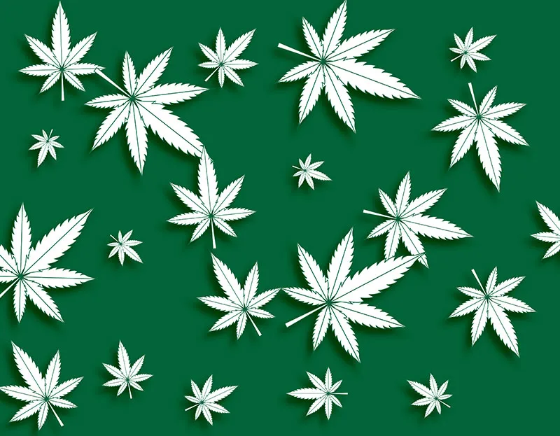 How a Smoke Shop Wholesale Supplier Can Double Your Profit Margins