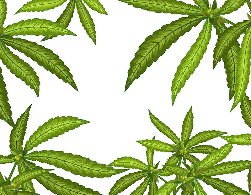 Reliable Smoke Shop Wholesale Supplier – Stock Your Store With Quality Products